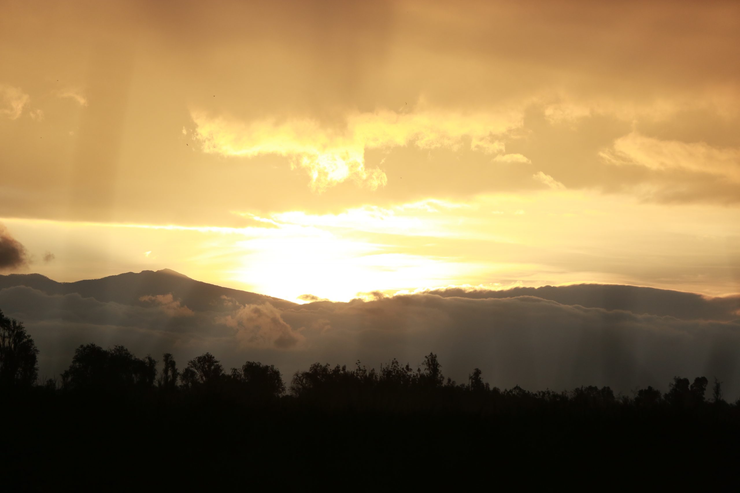 AMANECER EL XOCHIMILCO